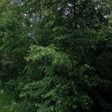 ZEMĚDĚLSKÉ SLUŽBY HLINSKO V Č. s.r.o.