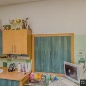 obrazek: avatar VETERINÁRNÍ KLINIKA-PALÁN RADEK MVDr.