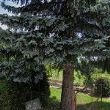 NÁVRHY A REALIZACE ZAHRAD