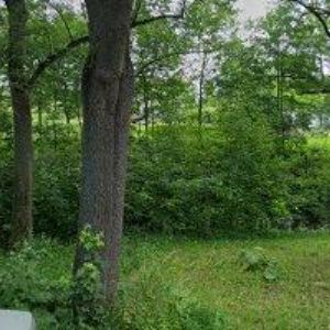 obrazek: avatar MACH DRŮBEŽ a.s.