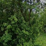 CHOVATELSKÁ STANICE FROM EAGLE HILLS