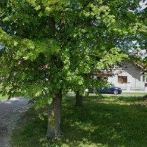 obrazek: avatar BRICHTOVÁ PETRA