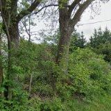 ÚTULEK PODLÍŠŤANY