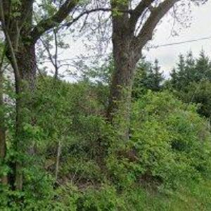 obrazek: avatar ÚTULEK PODLÍŠŤANY