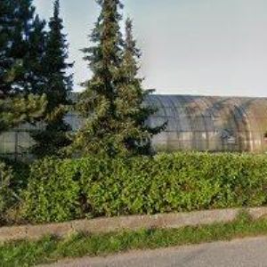 obrazek: avatar ZOD BRATRANCŮ VEVERKOVÝCH