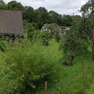 obrazek: avatar LUCKY HONEY