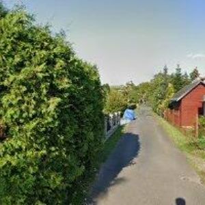 obrazek: avatar LESNÍ ŠKOLKA NEKOŘ