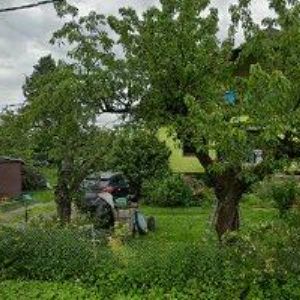 obrazek: avatar CACH JOSEF