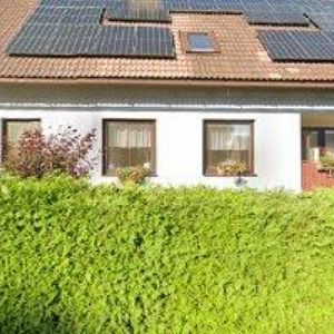 obrazek: avatar HOLEČKOVÁ LIBUŠE