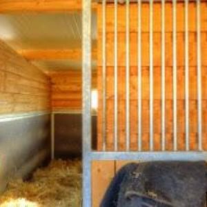 obrazek: avatar CANIS CENTRUM, s.r.o.