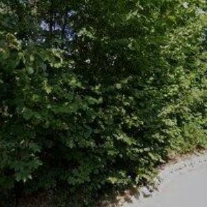 obrazek: avatar ŠTĚPÁNEK MILAN Ing.