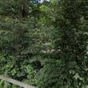 obrazek: avatar VETR-TROJEK s.r.o.