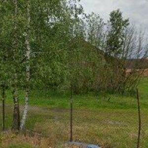 obrazek: avatar ČESKÝ KYNOLOGICKÝ SVAZ Svitavy