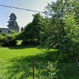 MĚSTSKÉ LESY A ZELEŇ, s.r.o.