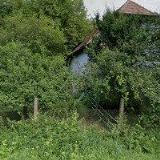 INSEMINAČNÍ STANICE KANCŮ