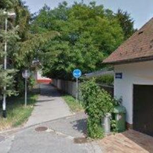 obrazek: avatar FLORART