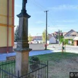 obrazek: avatar OVOCNÉ SADY ŽLUTAVA