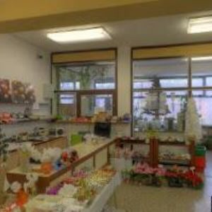 obrazek: avatar ZAHRADNICTVÍ KOVALČÍK