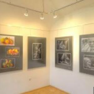 obrazek: avatar FORESTA SG, a.s.