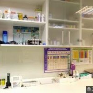 obrazek: avatar VETERINA GOLD