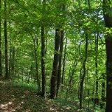 RANCH LUCKY VALLEY z.s.