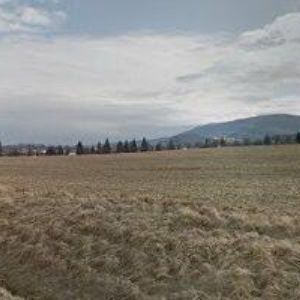 obrazek: avatar ZÁBOJNÍK JIŘÍ-GARDION