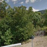 DOBRANSKÝ PETER-PÉČE O STROMY