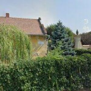 obrazek: avatar STELLA ZAHRADNICTVÍ