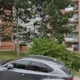 PROVAZOVÁ VÝSTROJ PRO KONĚ