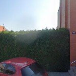 obrazek: avatar ANDRÝSEK JAN-ZAHRADNÍ A PARKOVÉ ÚPRAVY