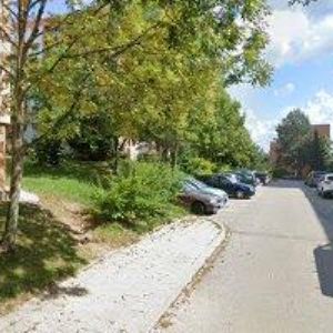 obrazek: avatar ERICA GARDEN s.r.o.