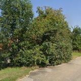 ZEMĚDĚLSKÉ OBCHODNÍ DRUŽSTVO POOLŠAVÍ