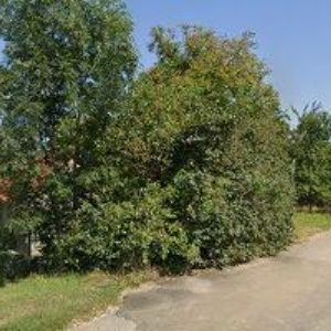 obrazek: avatar ZEMĚDĚLSKÉ OBCHODNÍ DRUŽSTVO POOLŠAVÍ