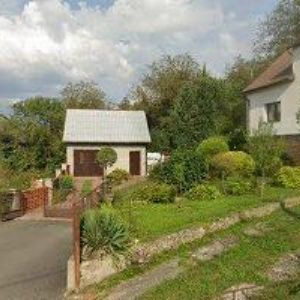 obrazek: avatar ZEMĚDĚLSKÉ DRUŽSTVO OLŠAVA