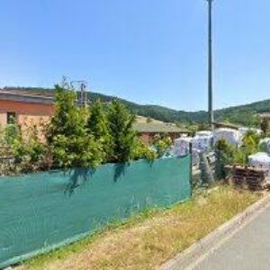 obrazek: avatar CLEMATIS