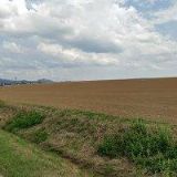 ZAHRADNICTVÍ U ROZCHODNÍKA spol. s r.o.