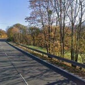 obrazek: avatar ČESKÝ KYNOLOGICKÝ SVAZ Rožnov pod Radhoštěm