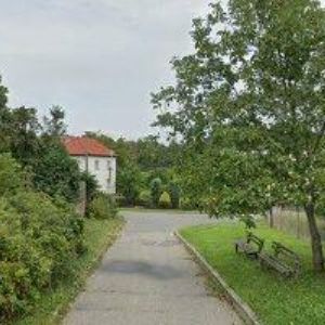 obrazek: avatar VIDLÁK MAREK