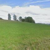 ČESKÁ SELKA s.r.o.