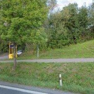 obrazek: avatar OVOCE-ZELENINA-POTRAVINY