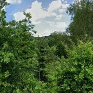 obrazek: avatar SEKULA JINDŘICH