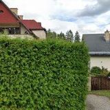 PEKAŘSTVÍ U DRAHUŠKY