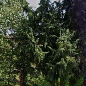 obrazek: avatar POLANSKÁ MILUŠE