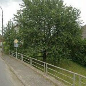 obrazek: avatar BROKEŠ FRANTIŠEK