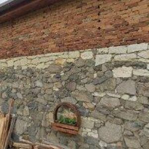 obrazek: avatar BIOVINS.CZ