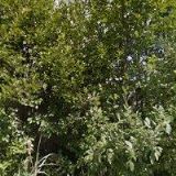 KRULIŠ KAREL-TRUHLÁŘSKÉ PRÁCE