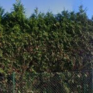 obrazek: avatar POSPÍŠIL MARTIN-TRUHLÁŘSTVÍ