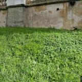 SVOBODA PAVEL-TRUHLÁŘSTVÍ