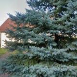 STOLAŘSTVÍ MARTINEK