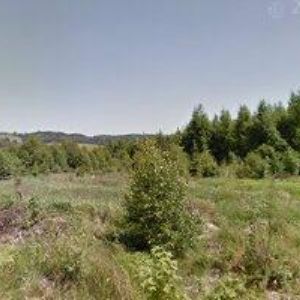 obrazek: avatar DOMÁCÍ ZDRAVOTNÍ PÉČE